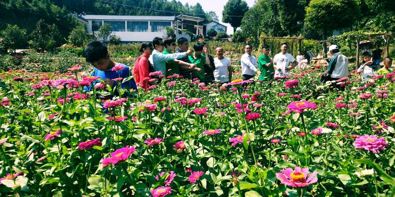 贛縣區(qū)堅持綠色生金 打造“贛州后花園”-中國網(wǎng)地產(chǎn) 贛縣區(qū)堅持綠色生金 打造“贛州后花園”-中國網(wǎng)地產(chǎn)