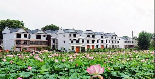 1574247739188048.jpg 微信圖片_20191120133932.jpg