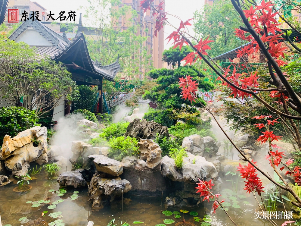 1590028082106155.jpg 1.jpg