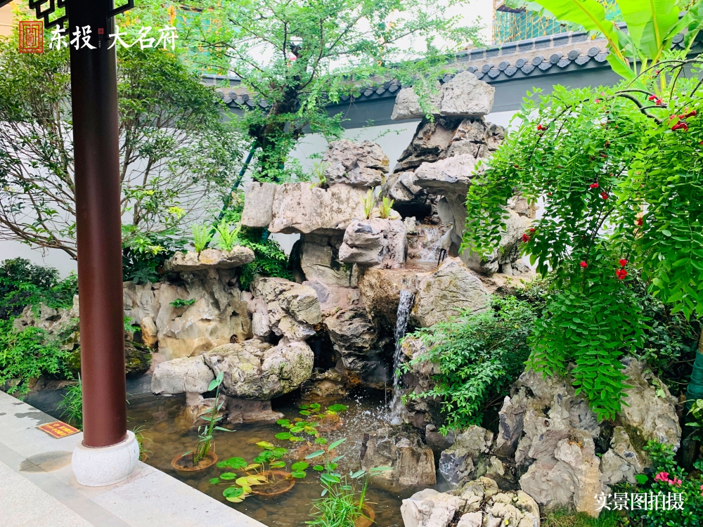 1590028113339735.jpg 2.jpg