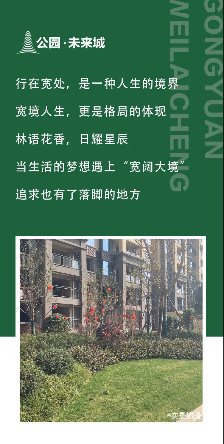 1614225343435610.jpg 1614225343435610.jpg