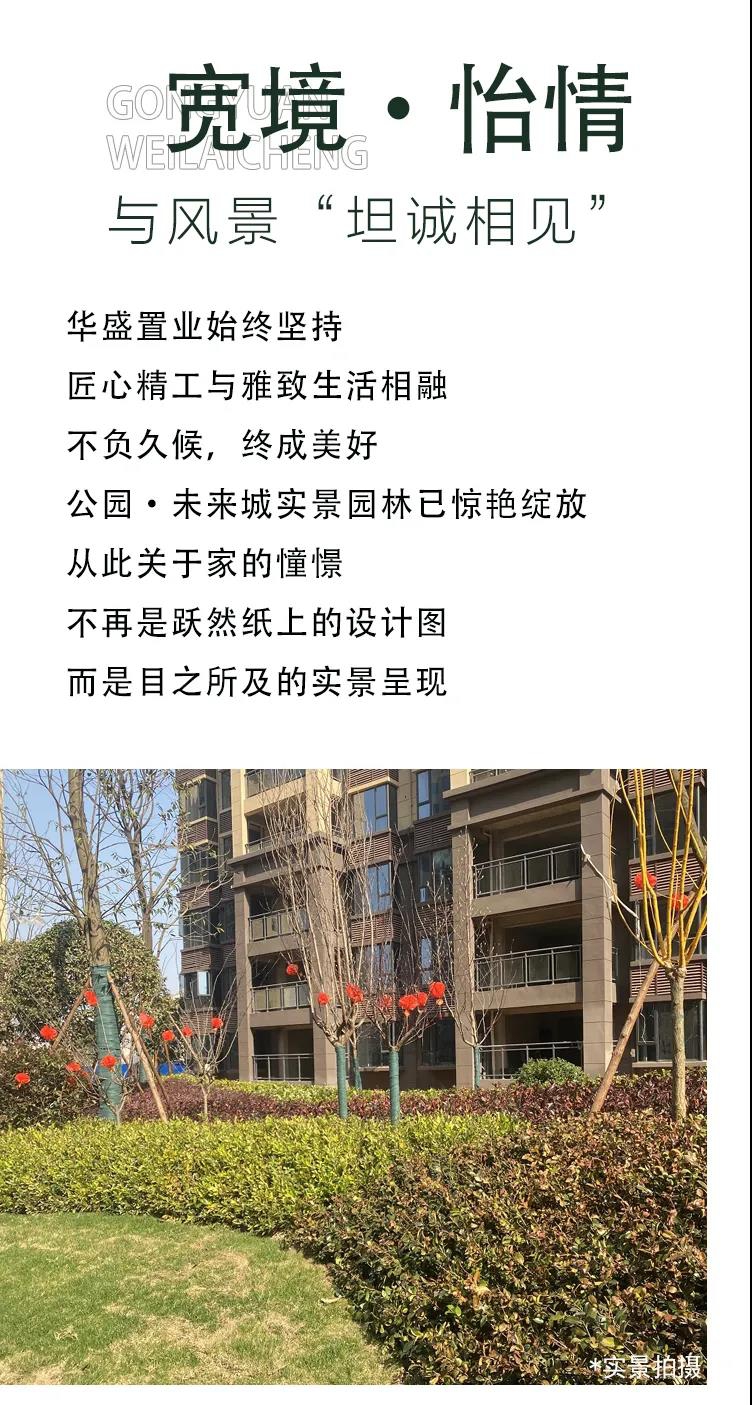 1614225419986331.jpg 1614225419986331.jpg