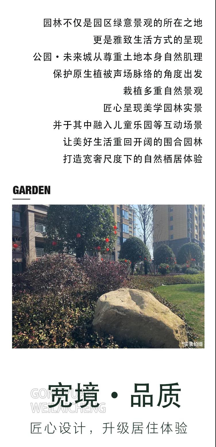 1614225533586910.jpg 1614225533586910.jpg