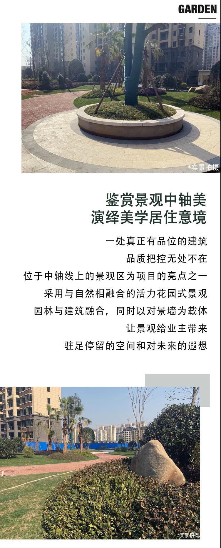 1614225668105931.jpg 1614225668105931.jpg