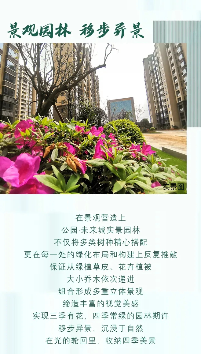 1616557272541727.jpg 4.webp.jpg