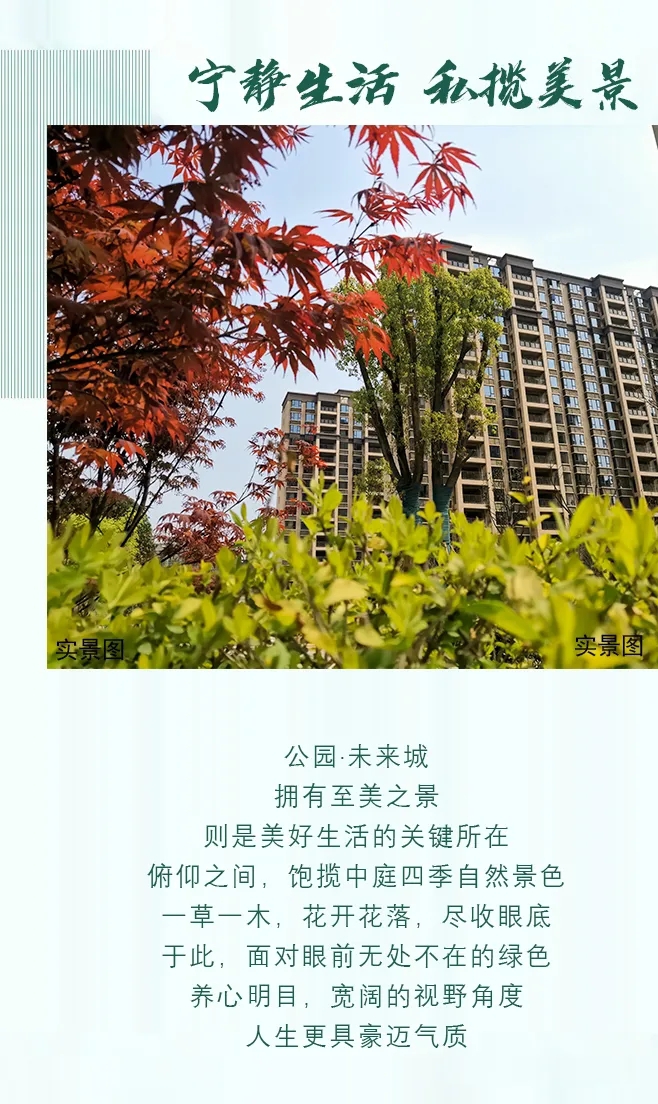 1616557321138304.jpg 5.webp.jpg