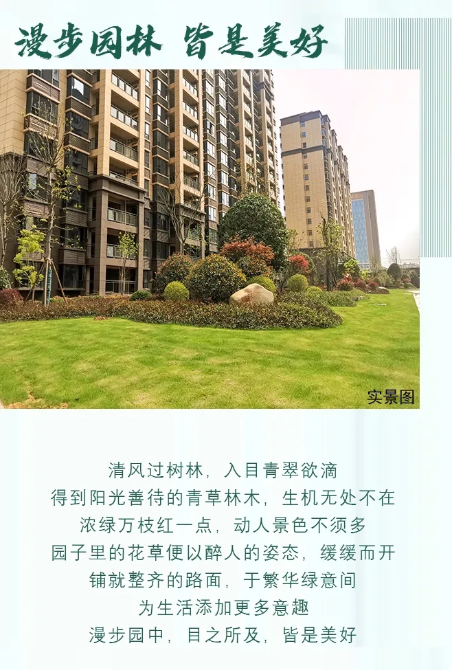 1616557351864465.jpg 6.webp.jpg