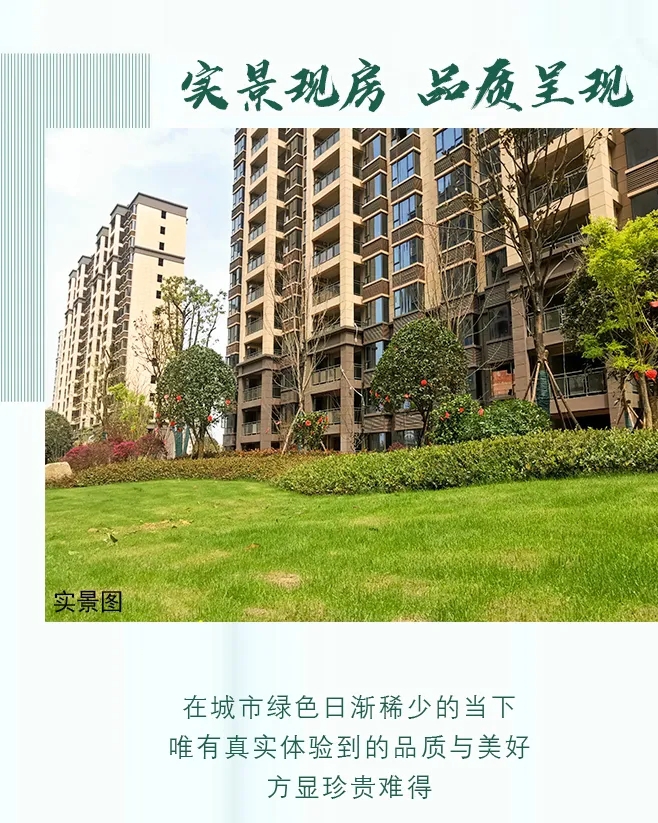 1616557385570171.jpg 7.webp.jpg