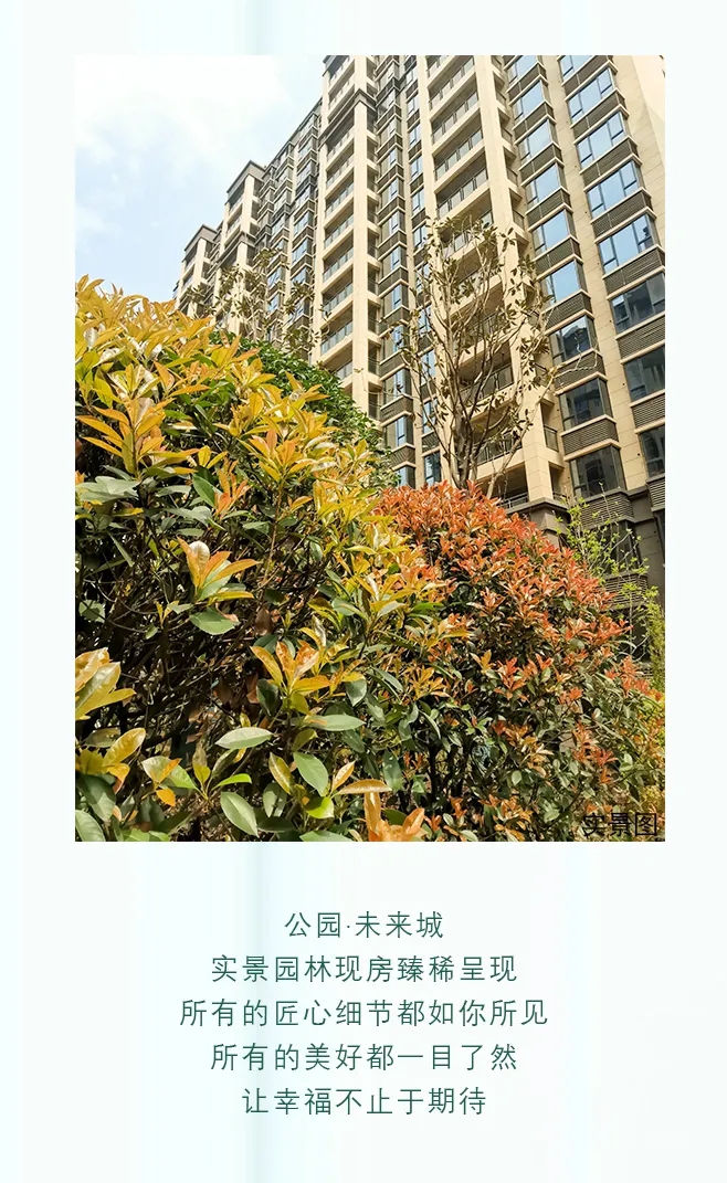 1616557415992657.jpg 8.webp.jpg