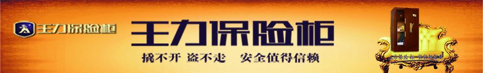 王力保險(xiǎn)柜